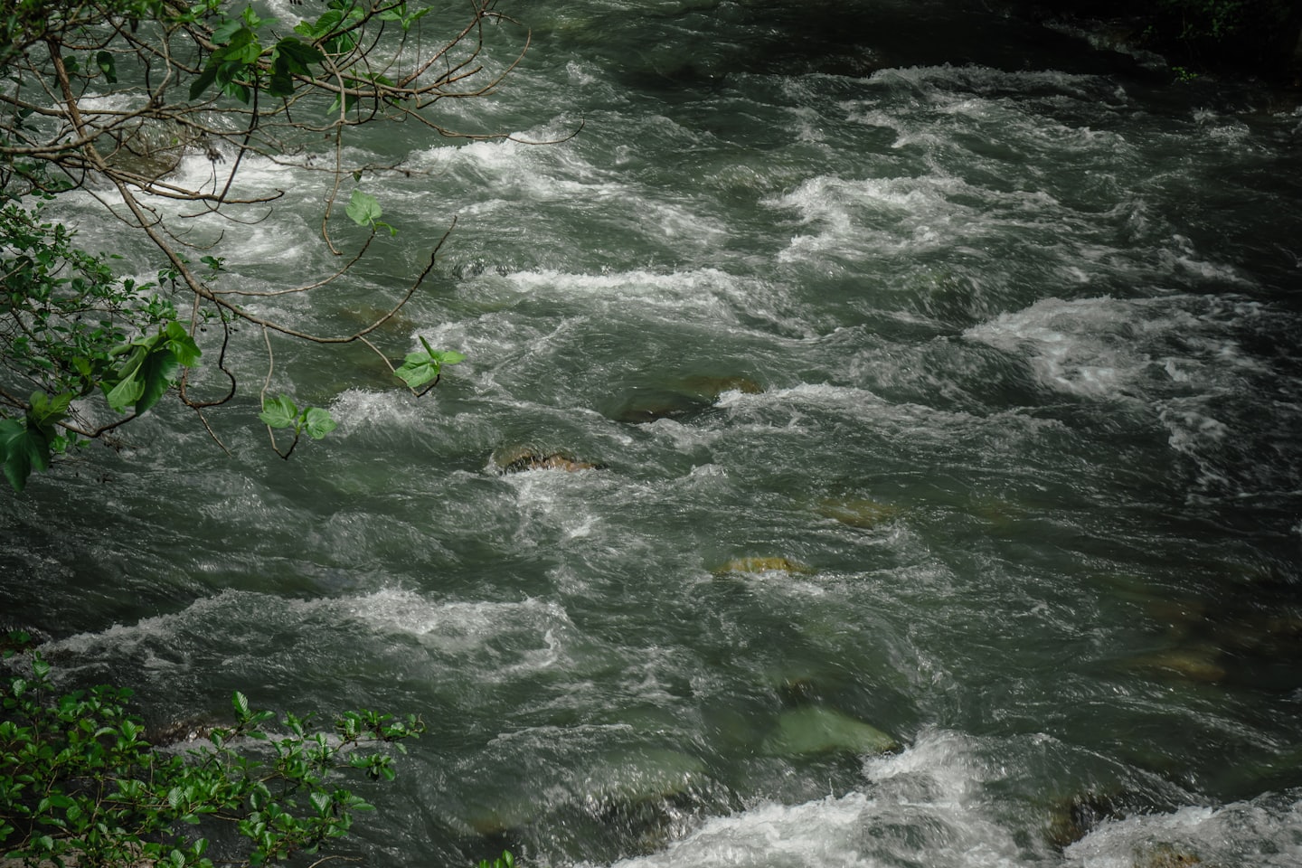 Environmental 62465ef3dbe13902aea975d7da66274ac6b48cdd