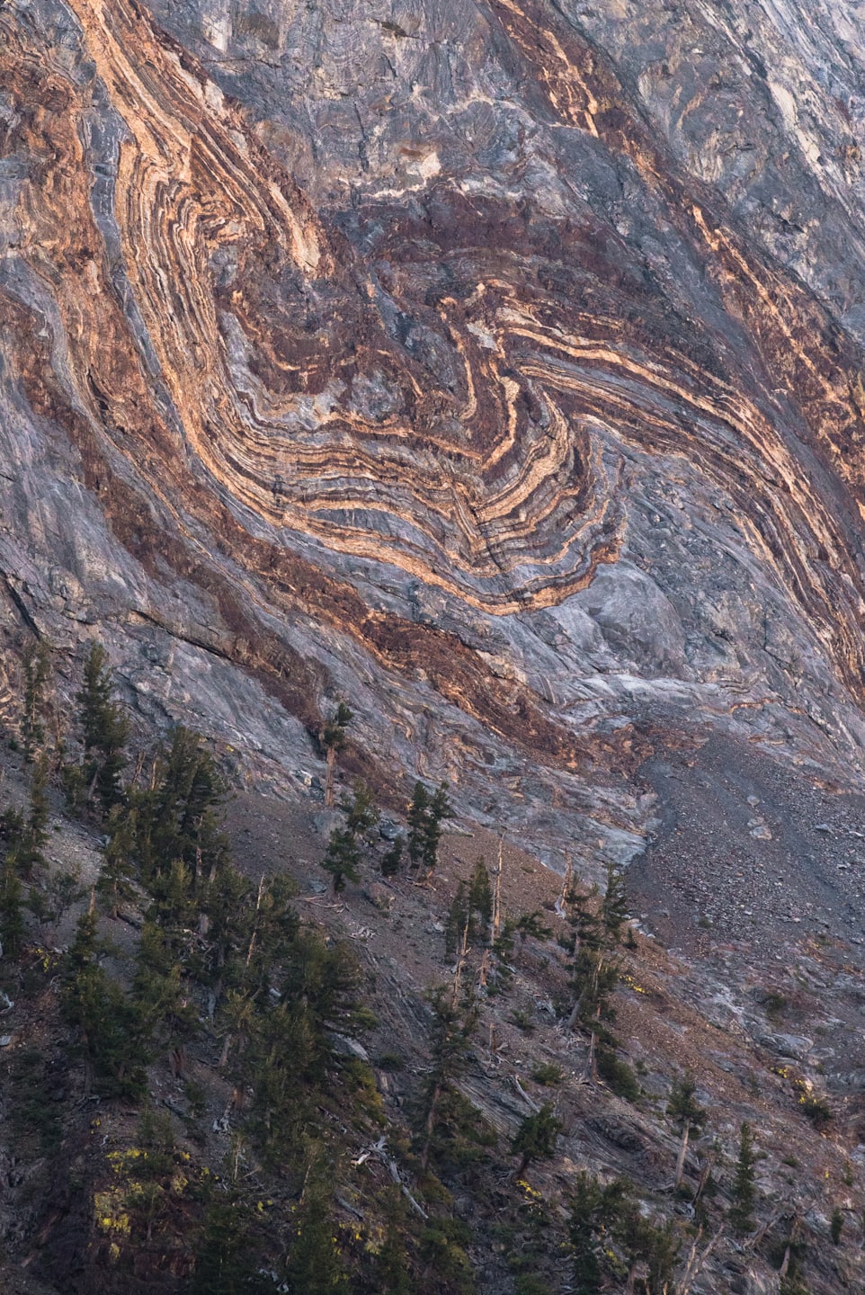 6d05d6c36d5165944fe3f18065ff34d40bc1ac39