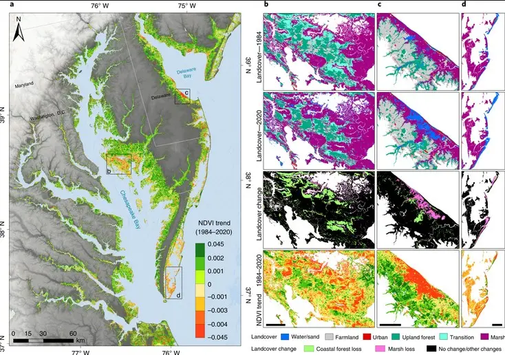wetland and biomass trends mid atlantic
