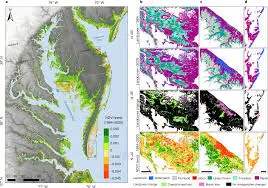 Why Relative Sea-Level Rise Is Not Just About the Ocean wetland and biomass trends mid atlantic