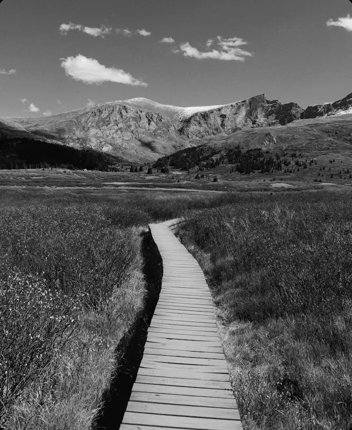 team-03 A wooden pathway leading through a vast mountainous landscape in black and white.
