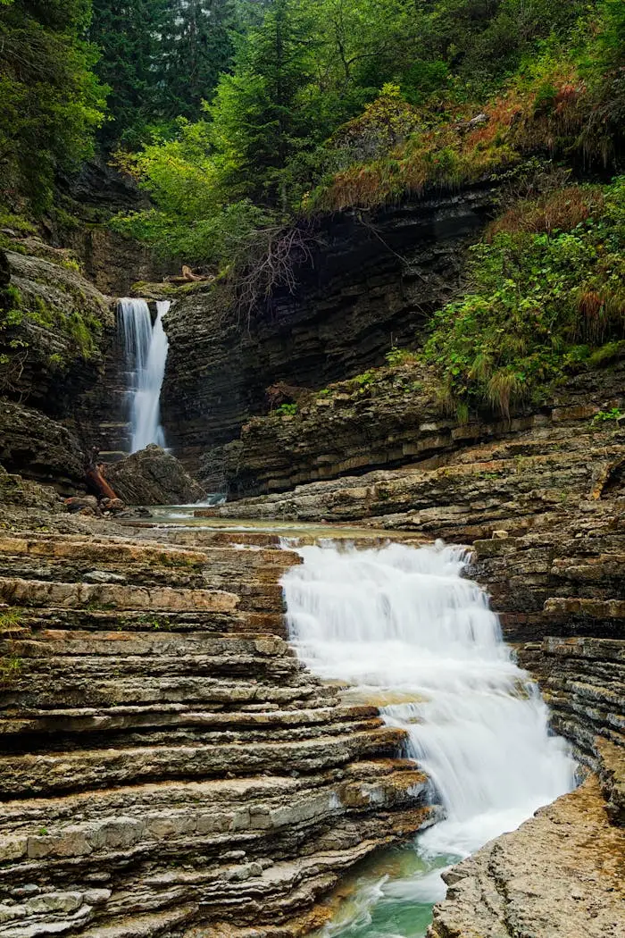 services-04 OLYMPUS DIGITAL CAMERA
